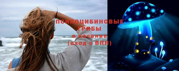 таблы Бородино