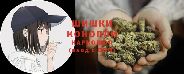 таблы Бородино