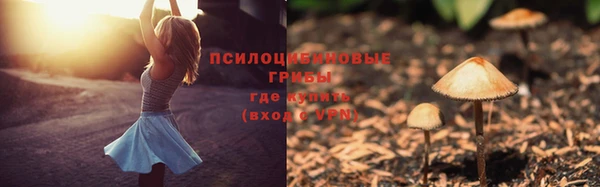 таблы Бородино