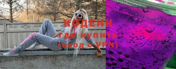 таблы Бородино