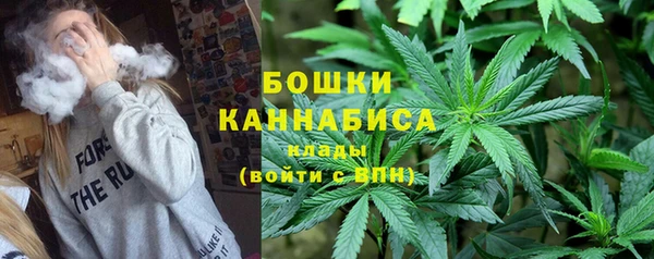 таблы Бородино