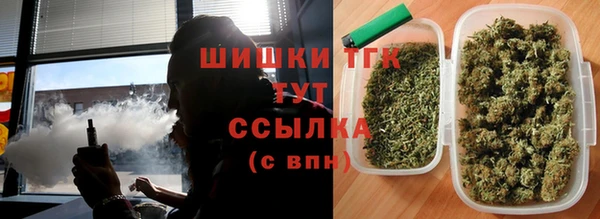таблы Бородино